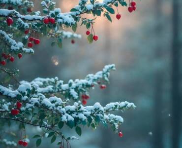 Vinelli - Hofladen Idstein | regionale Lebensmittel 6 Unsere Winter-Öffnungszeiten